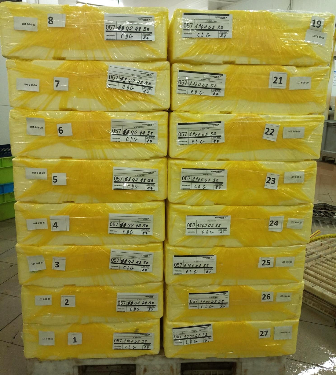 Colis de poisson frais étiquetés sur palette à l'aéroport