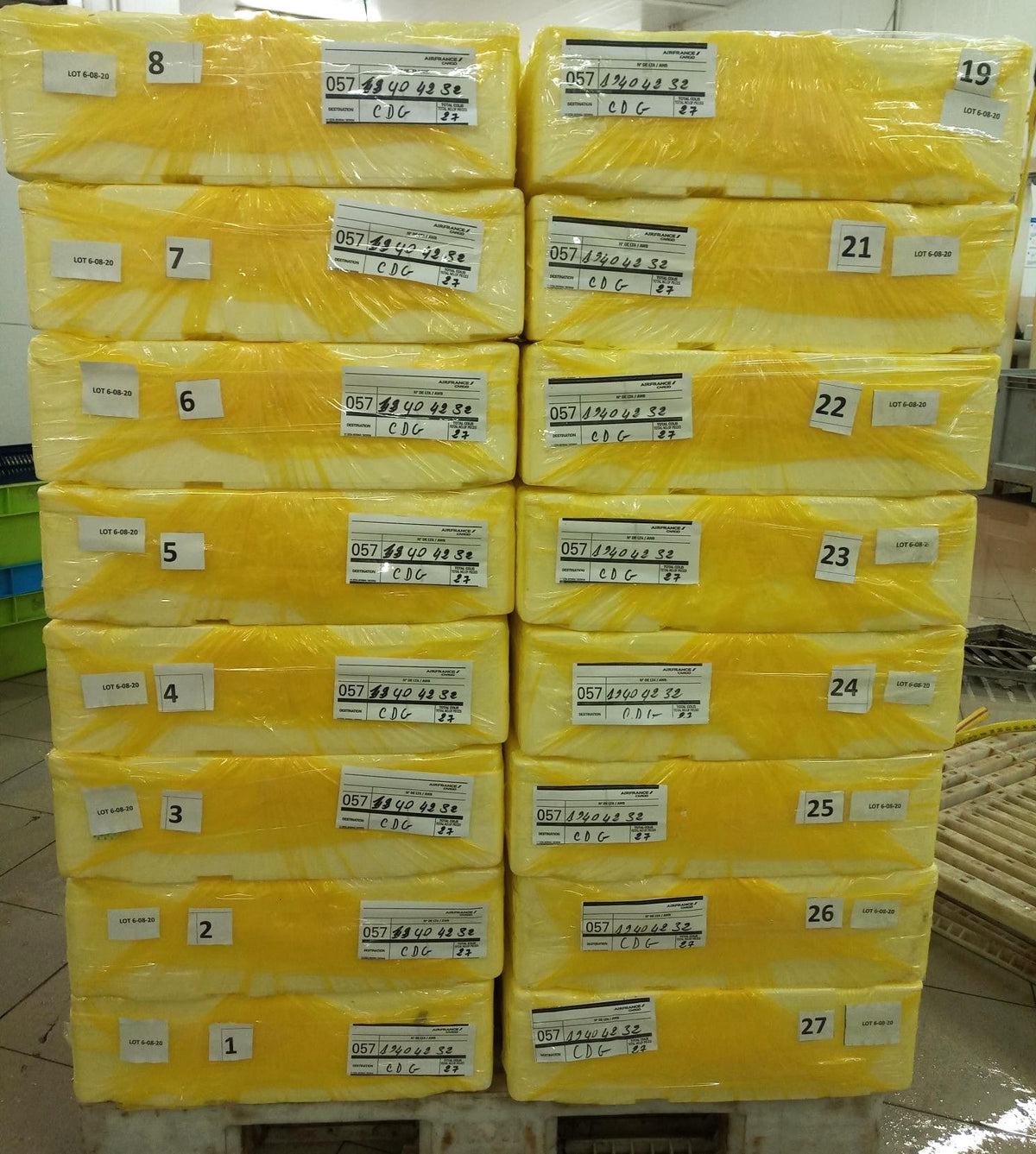 Colis de poisson frais étiquetés sur palette à l'aéroport