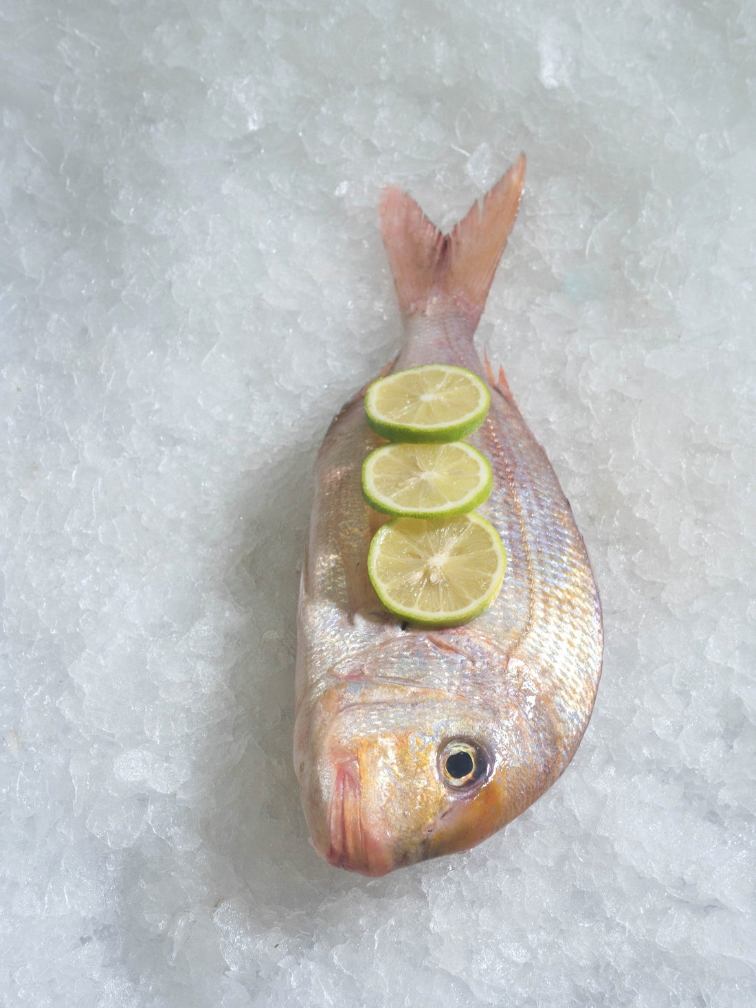 Dorade fraîche de Mauritanie pour la recette au four