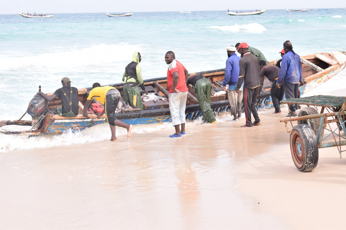 Pirogues de pêche artisanale sur la côte mauritanienne