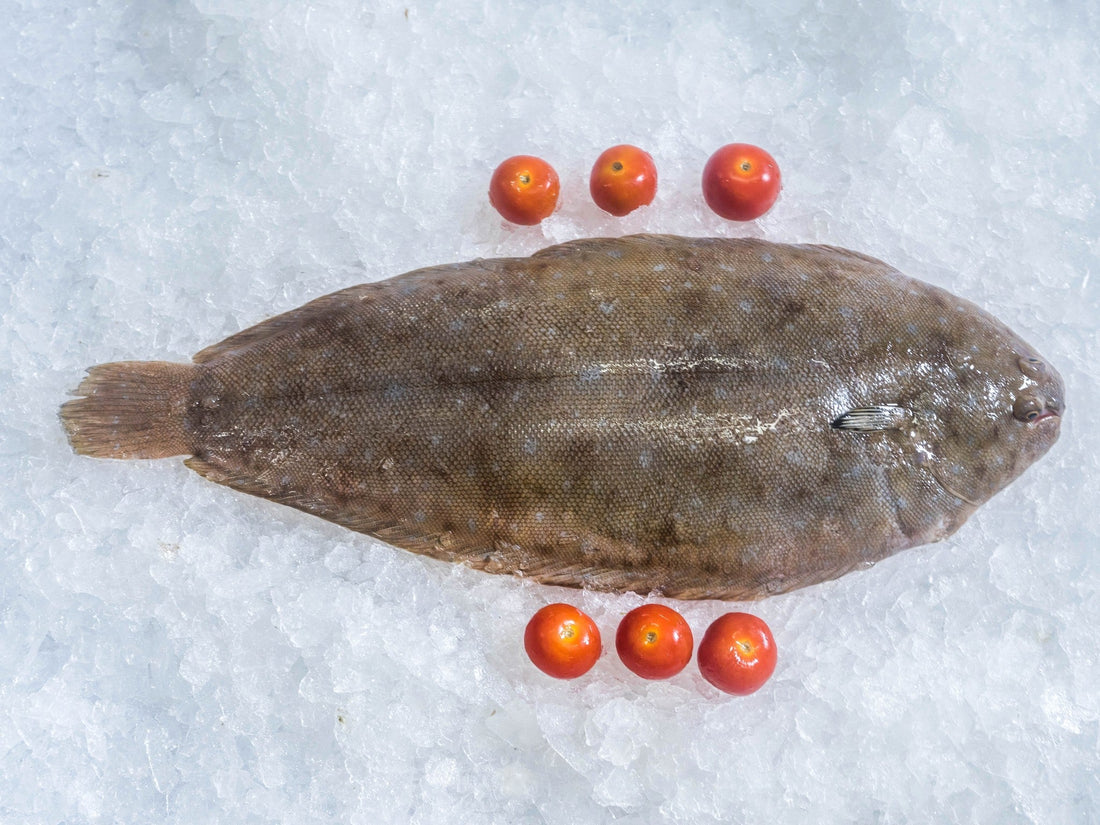 Sole longue fraîche de Mauritanie pour la recette meunière