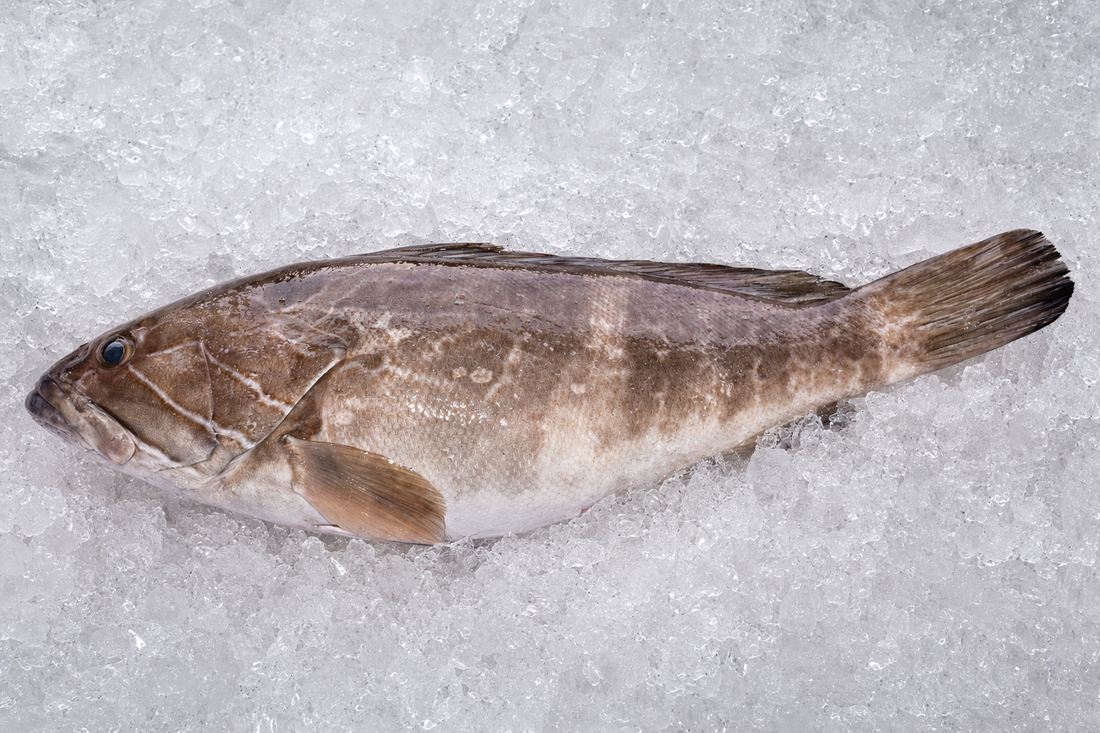 Thiof entier sur glace, à comparer avec dorade et sole longue